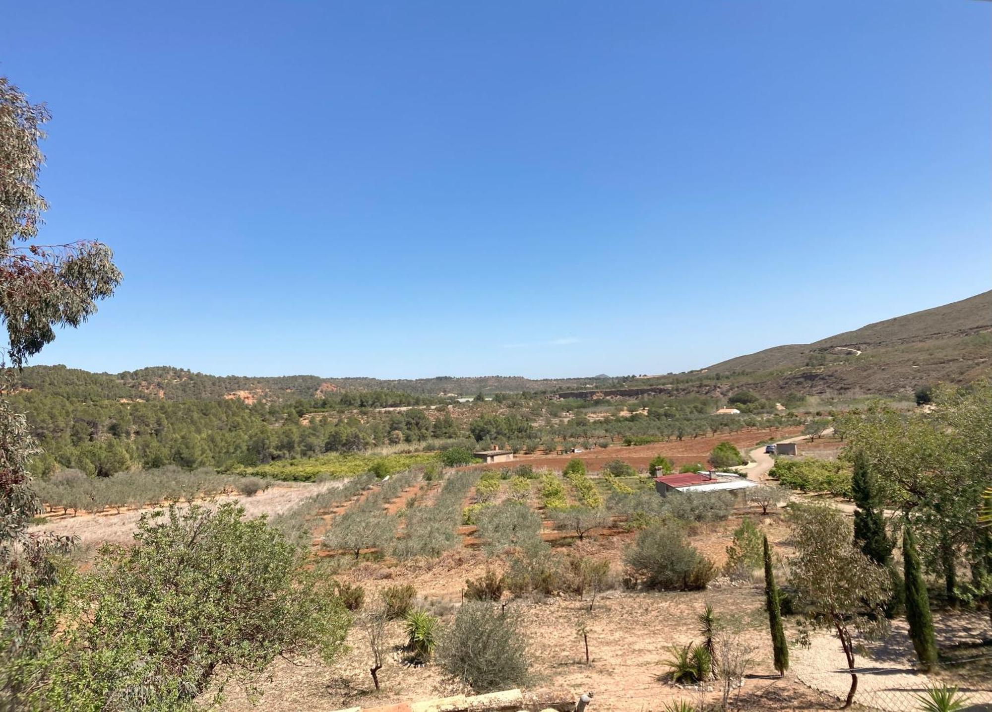Villa Torre Macastre, Valencia מראה חיצוני תמונה